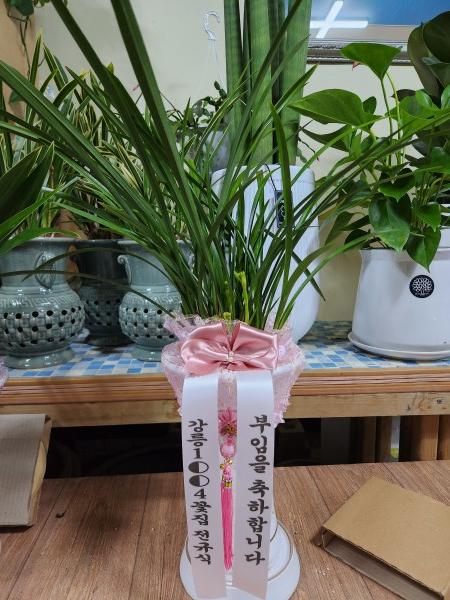 업로드 이미지