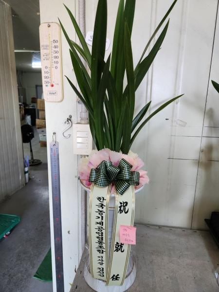 업로드 이미지