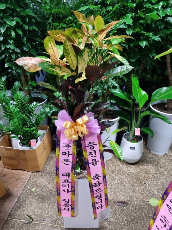 업로드 이미지