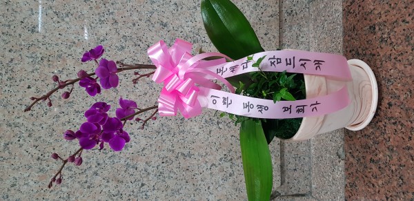 업로드 이미지