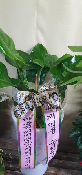 업로드 이미지