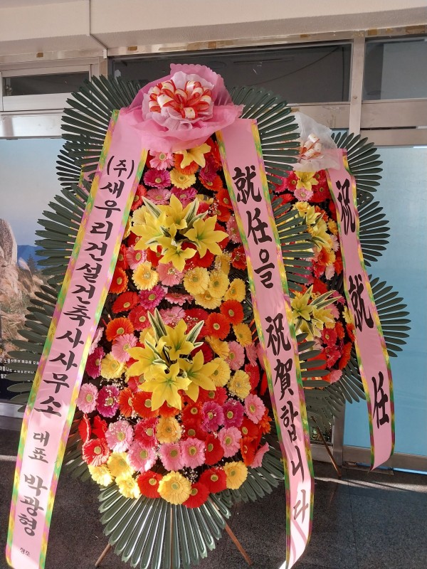 업로드 이미지