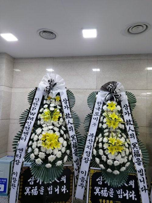 업로드 이미지