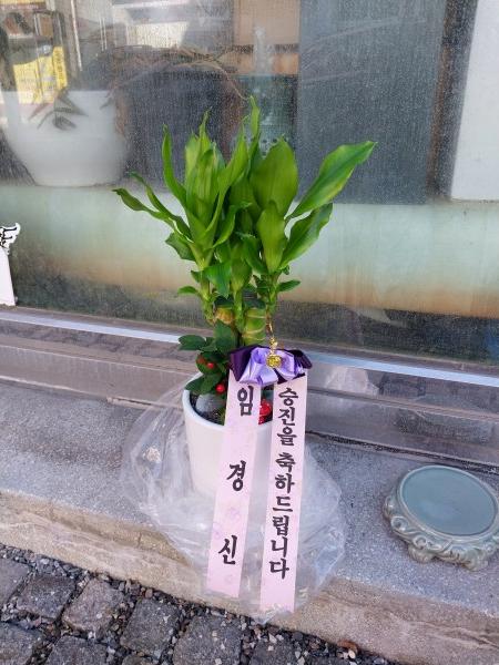 업로드 이미지