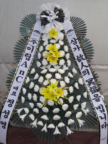 업로드 이미지