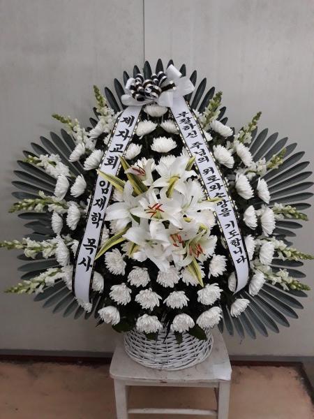 업로드 이미지