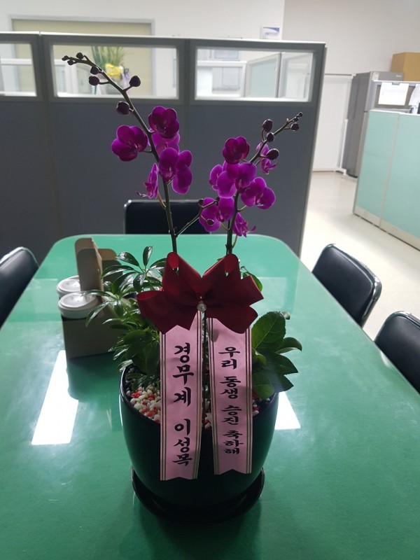 업로드 이미지