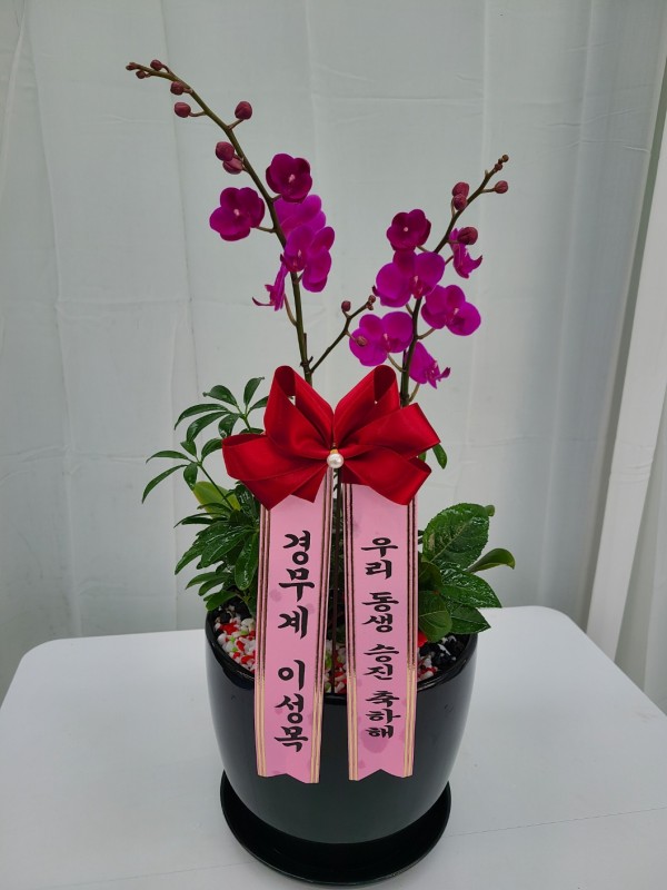 업로드 이미지