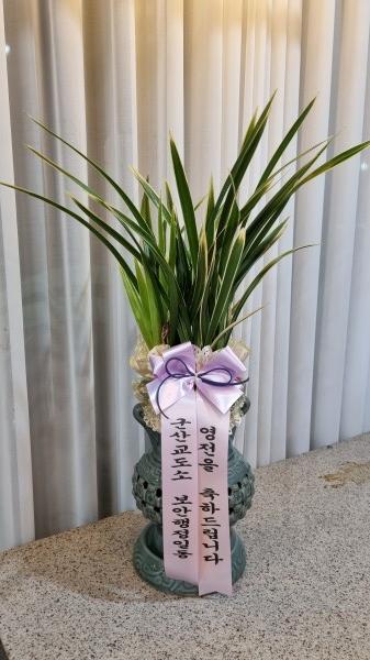 업로드 이미지