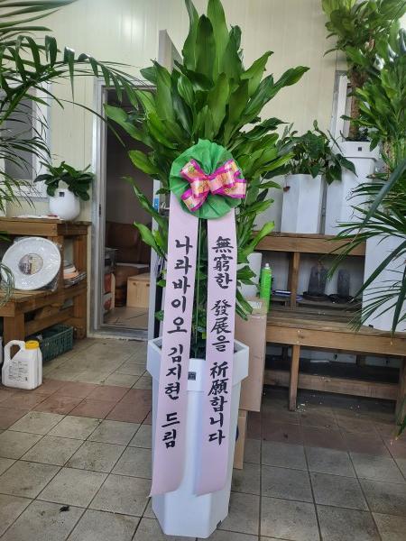 업로드 이미지
