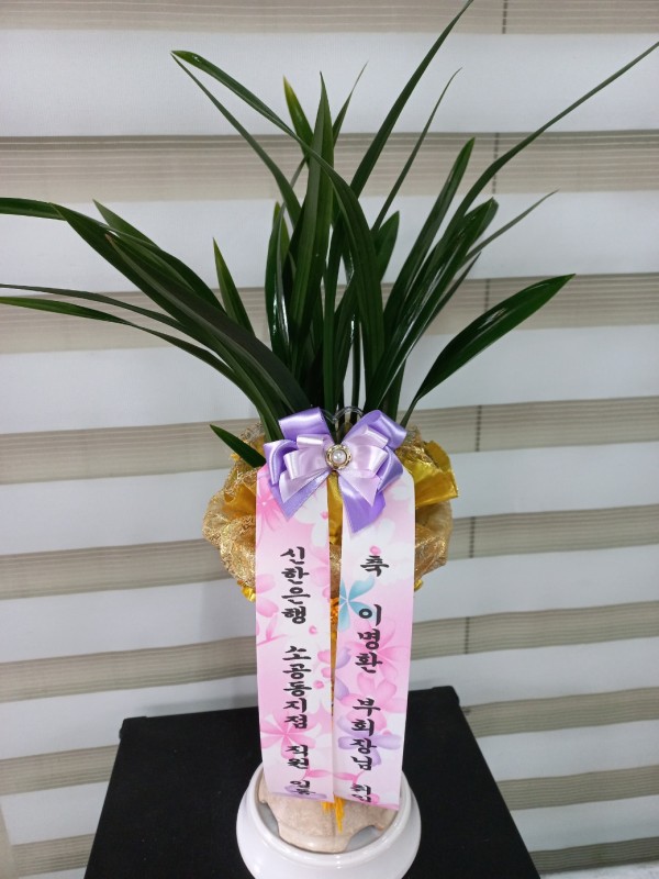 업로드 이미지