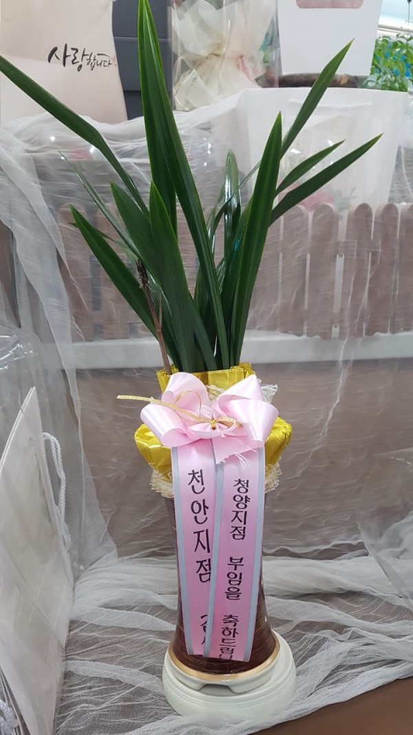 업로드 이미지