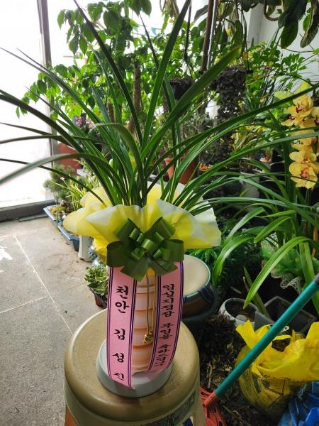 업로드 이미지