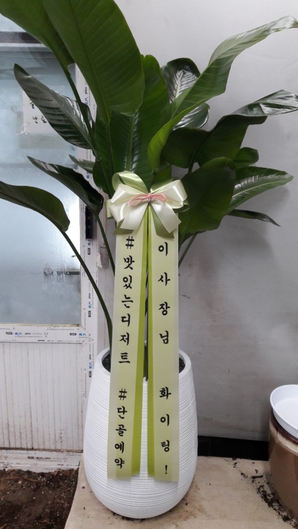 업로드 이미지