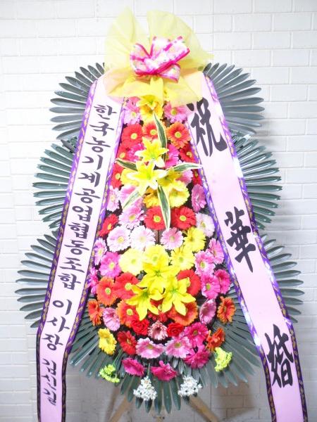 업로드 이미지