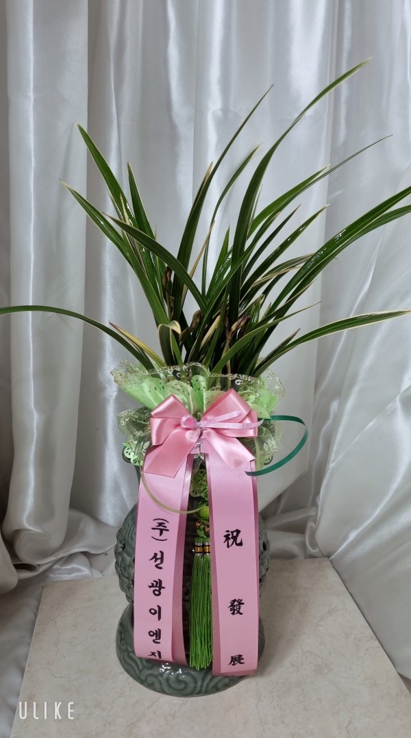 업로드 이미지
