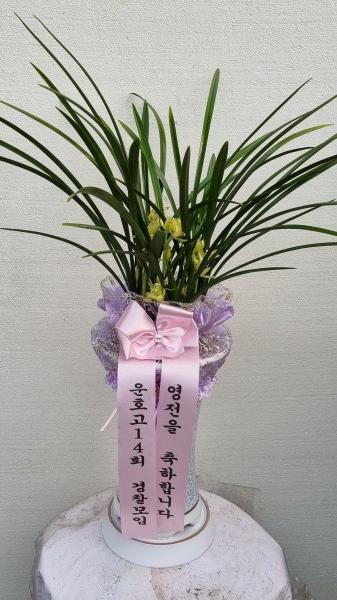 업로드 이미지