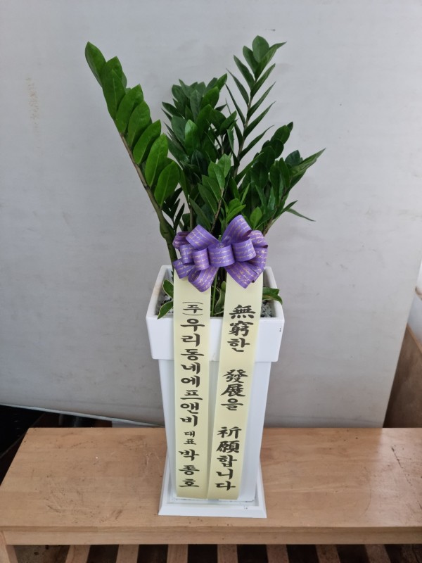 업로드 이미지