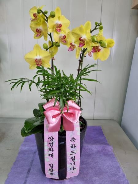 업로드 이미지