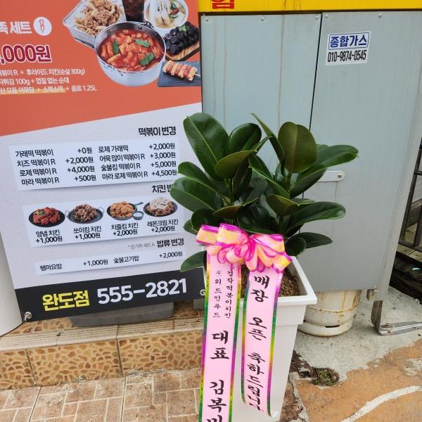 업로드 이미지