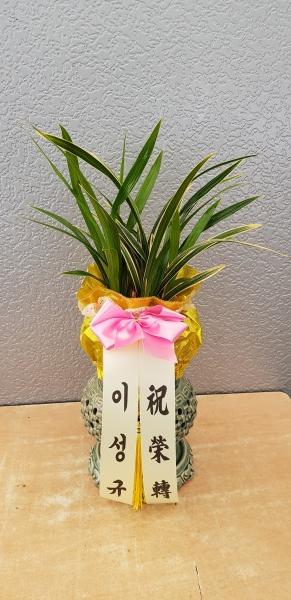 업로드 이미지