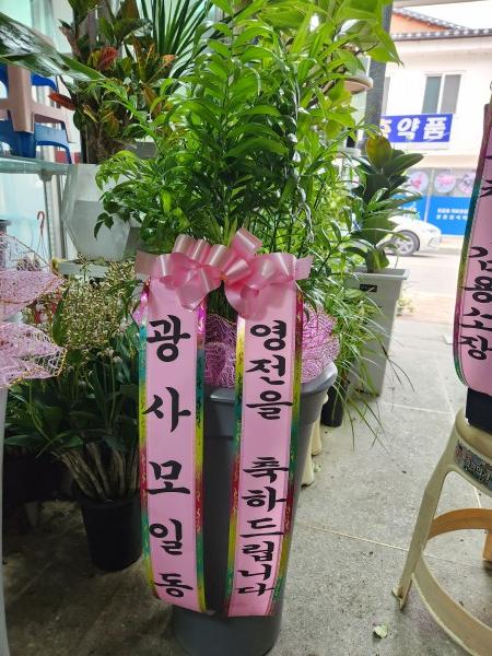 업로드 이미지