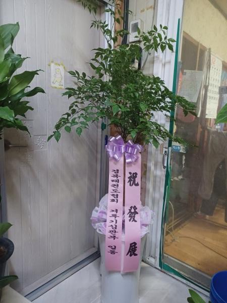 업로드 이미지