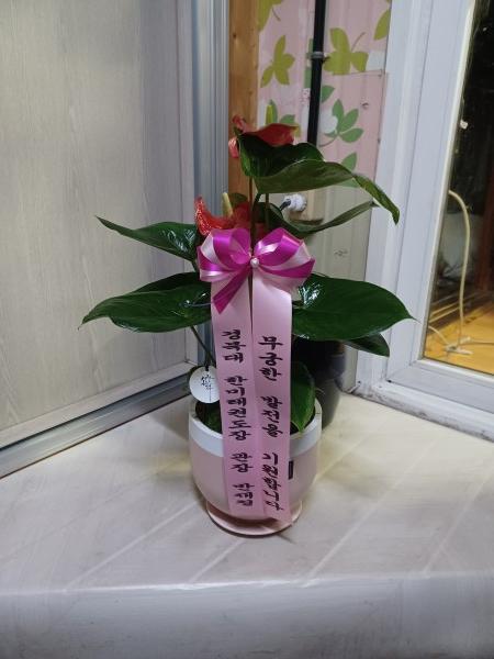 업로드 이미지