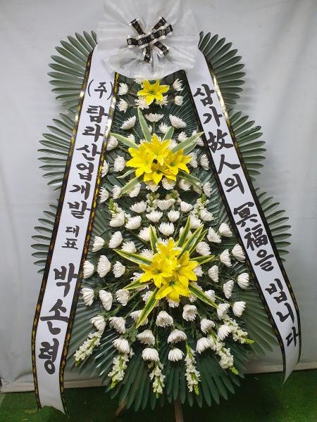 업로드 이미지