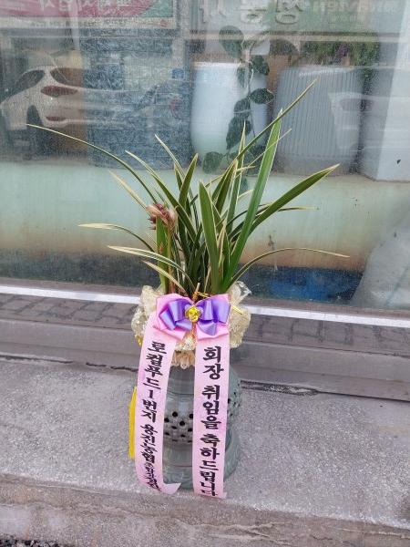업로드 이미지