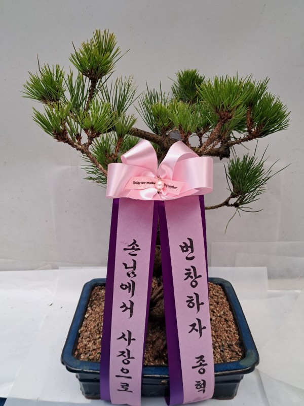 업로드 이미지