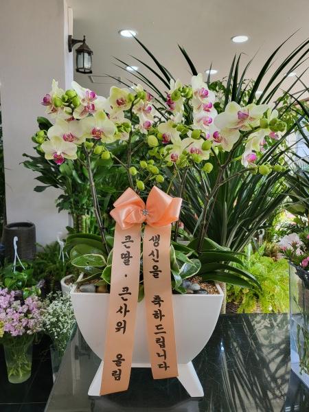 업로드 이미지