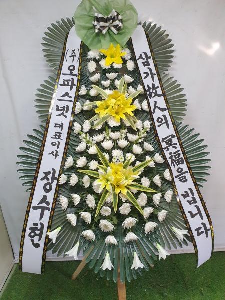 업로드 이미지