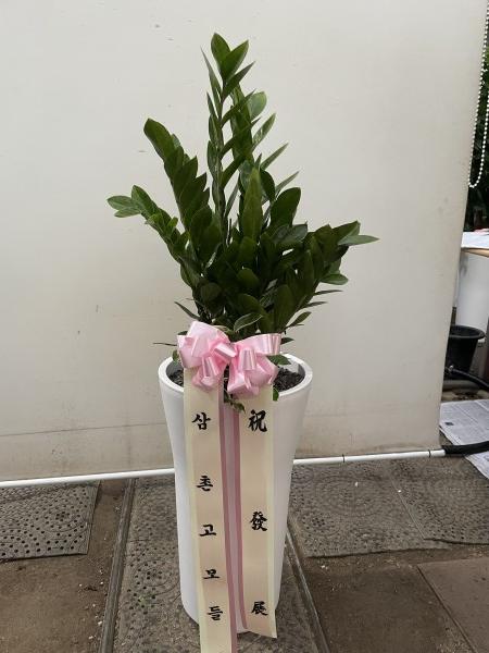 업로드 이미지
