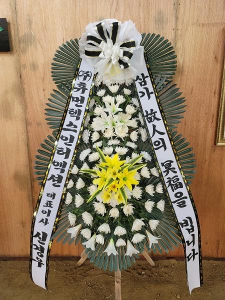 업로드 이미지