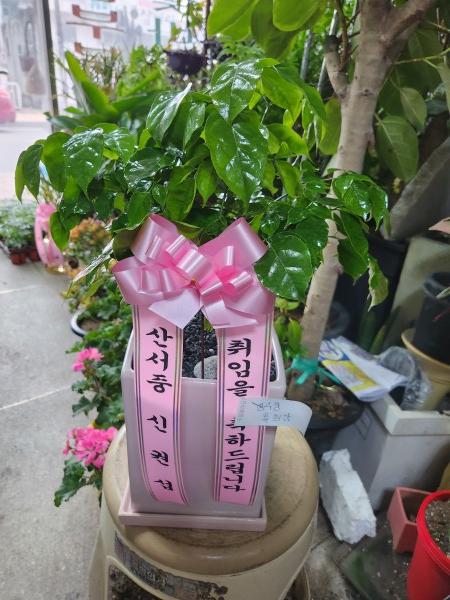 업로드 이미지