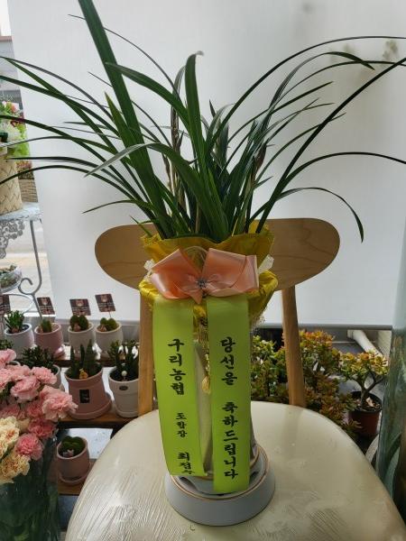 업로드 이미지