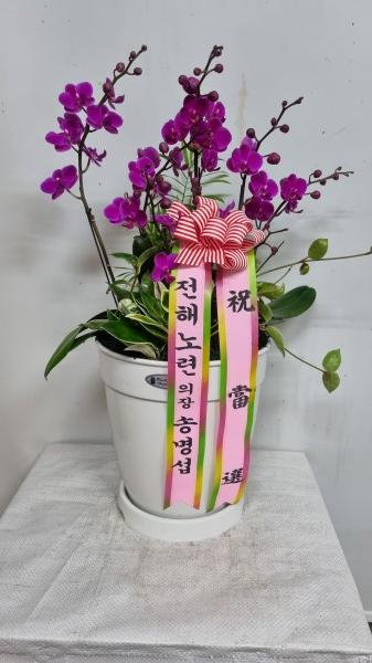업로드 이미지