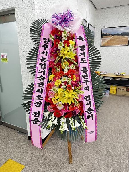 업로드 이미지