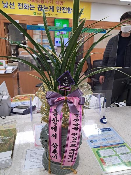 업로드 이미지