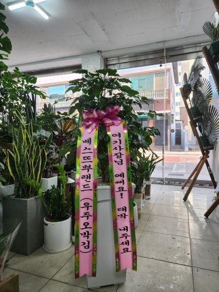 업로드 이미지