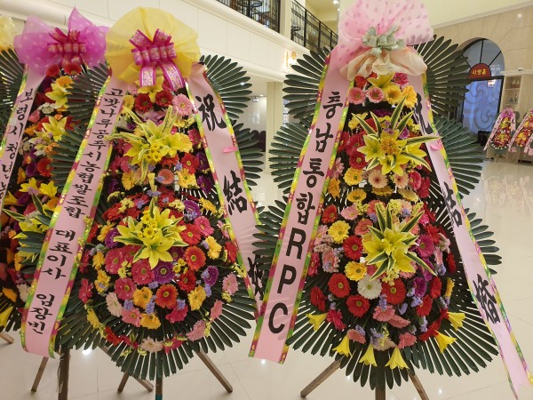 업로드 이미지