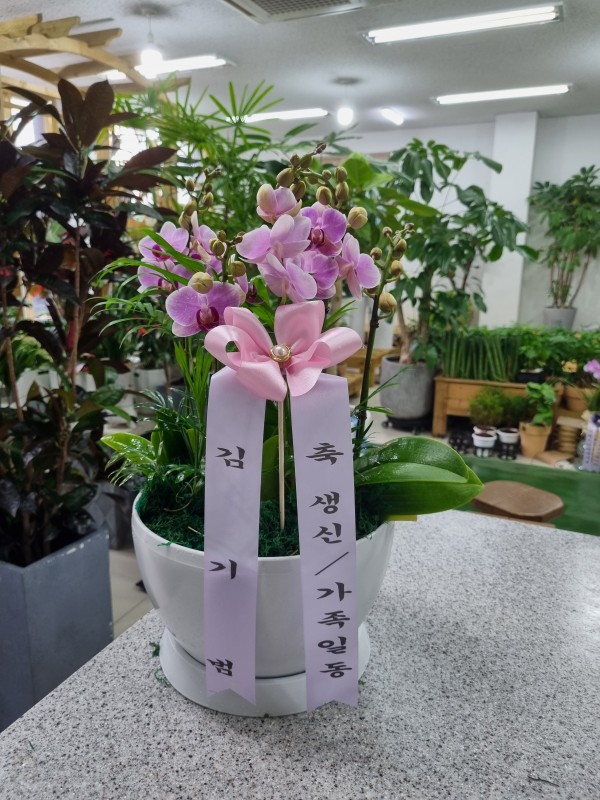 업로드 이미지