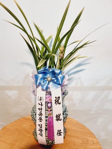 업로드 이미지