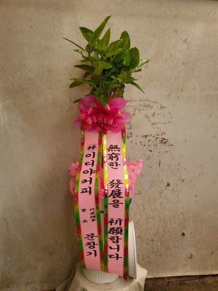 업로드 이미지