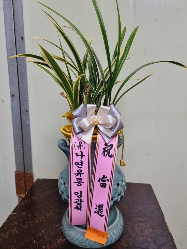 업로드 이미지
