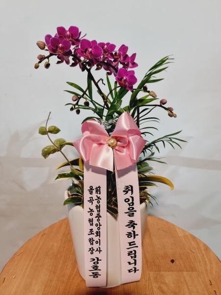 업로드 이미지