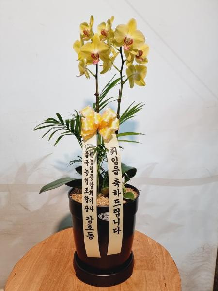 업로드 이미지