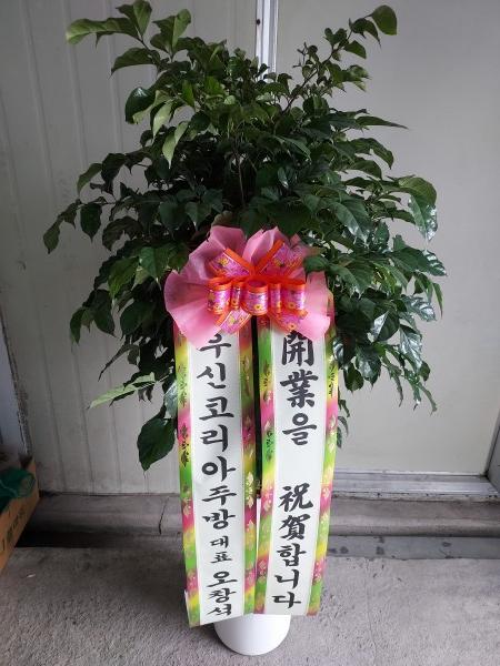 업로드 이미지