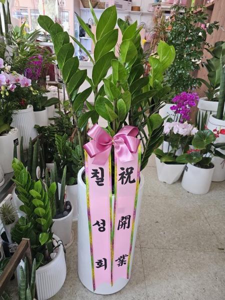 업로드 이미지